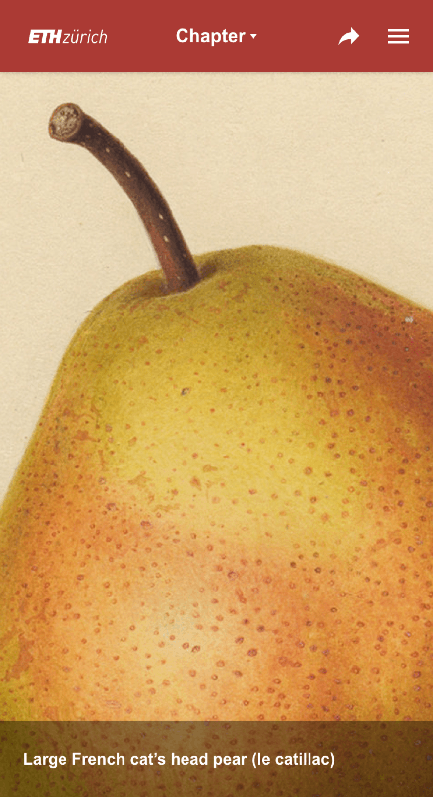 Image of the project