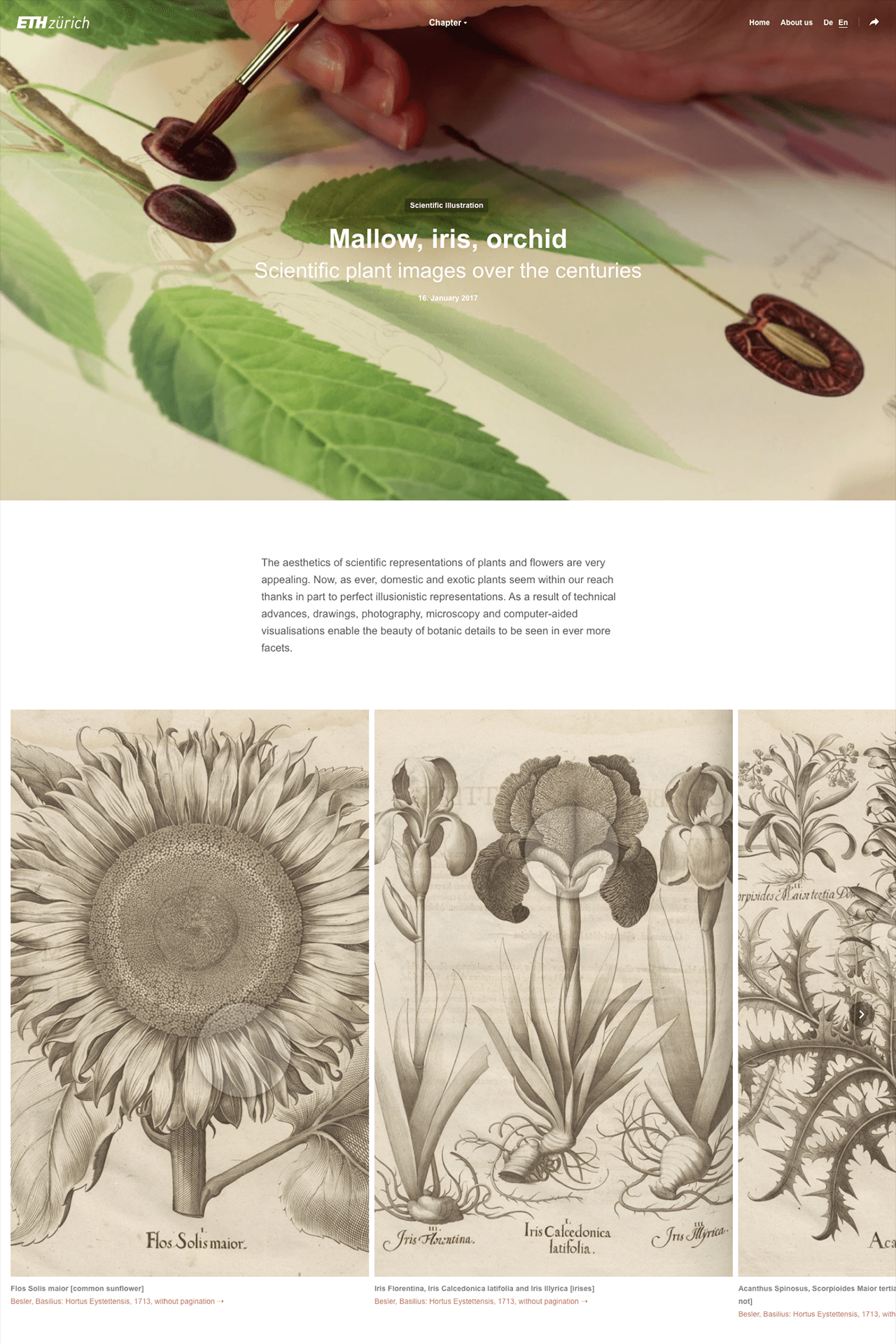 Image of the project