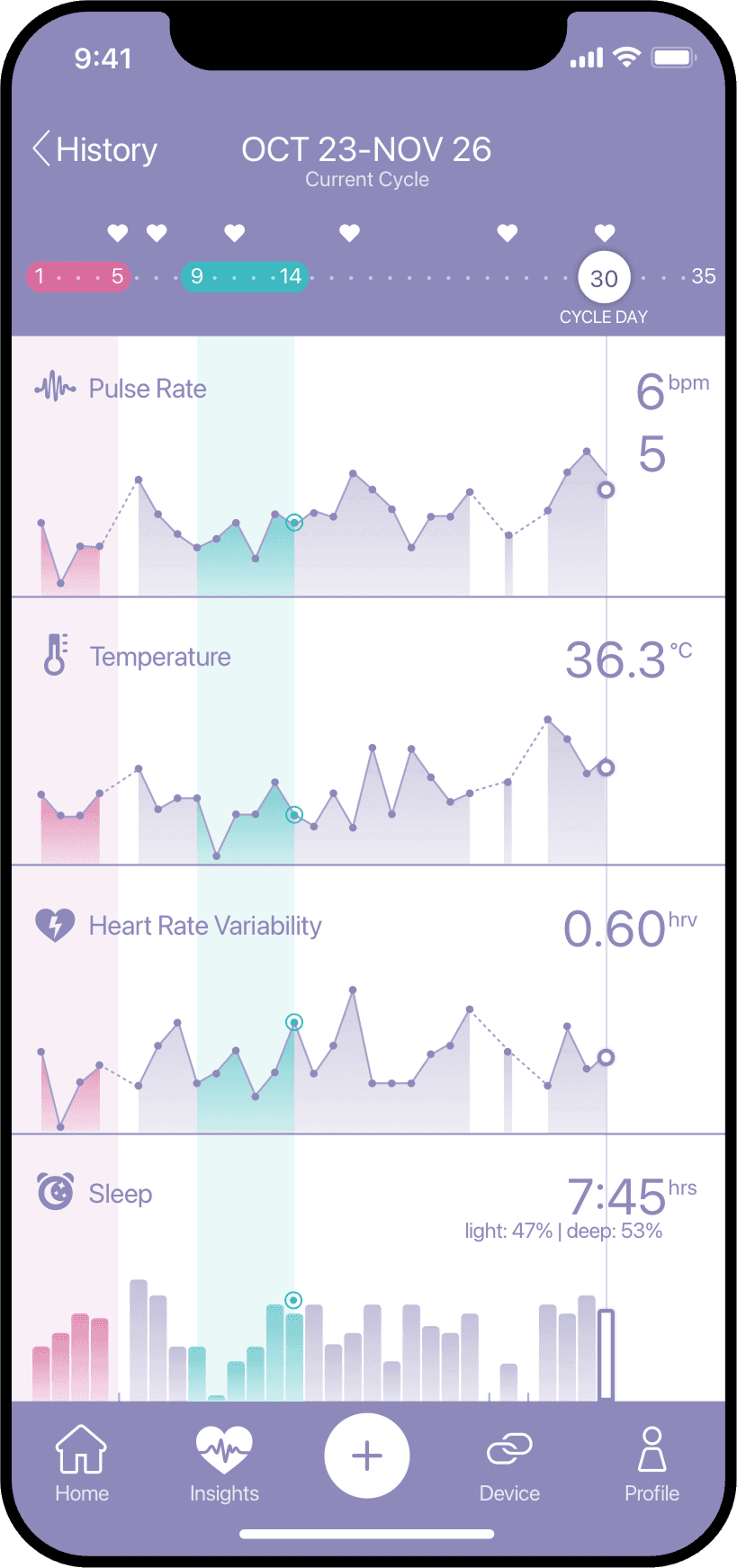 Image of the project